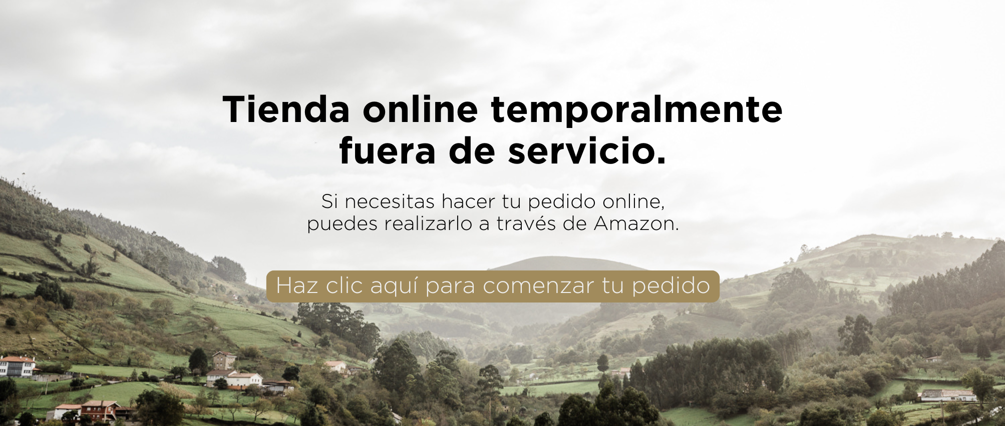 Tienda online fuera de servicio temporalmente